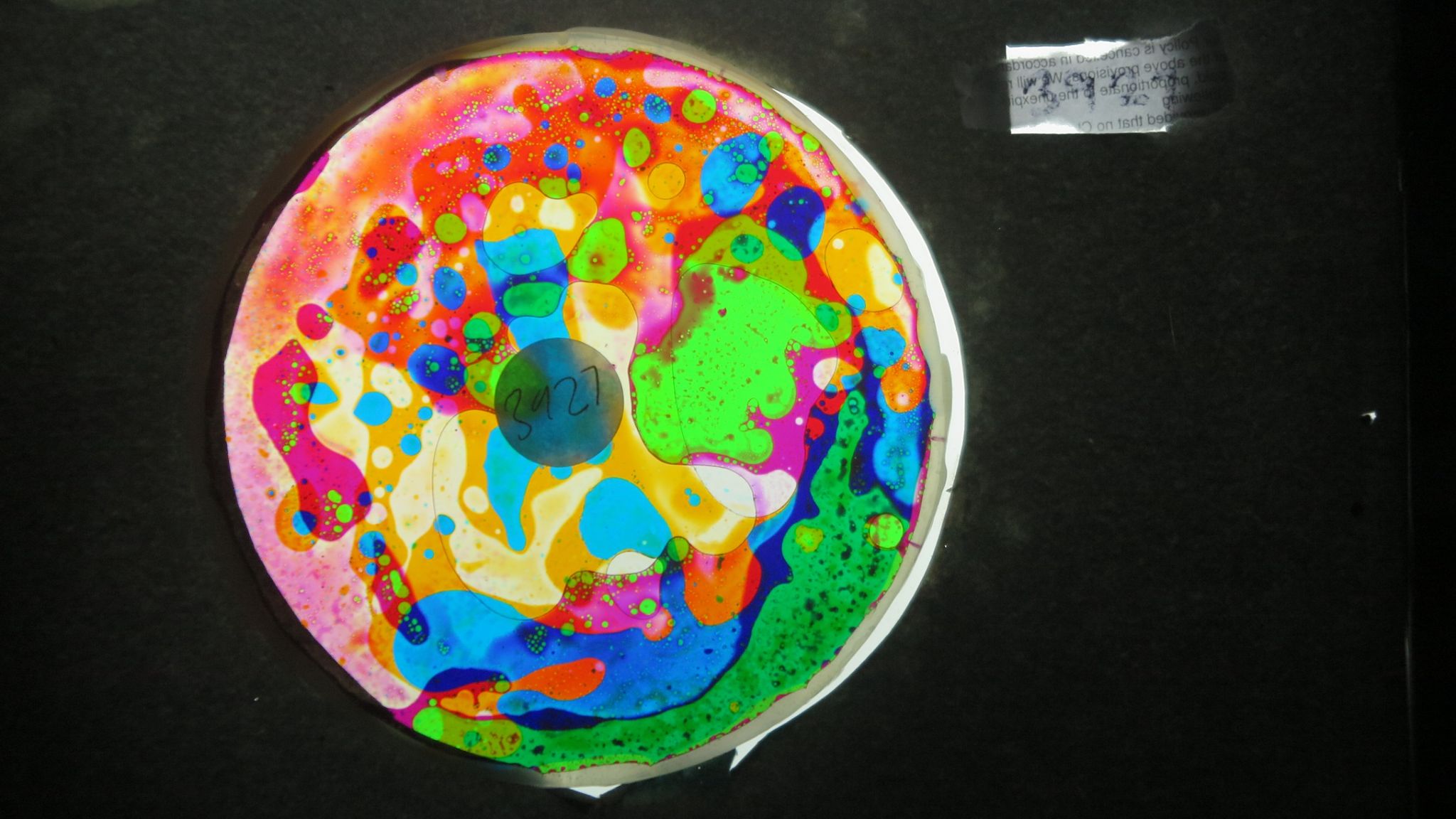 BV3927 bubble vision oil wheel